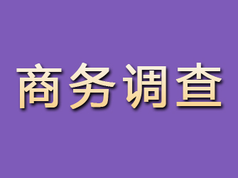 泽州商务调查